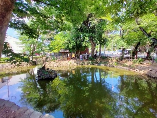 【横浜市】水の循環がよみがえる池へ!地域の力で歴史ある「いの池」を再生