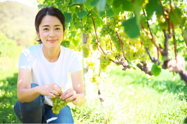 ワイン醸造で生じる「搾りかす」を資源へ。NIKI Hills Winery、廃棄物ゼロを目指す「ワイン紅茶」を3月8日にオンライン販売開始