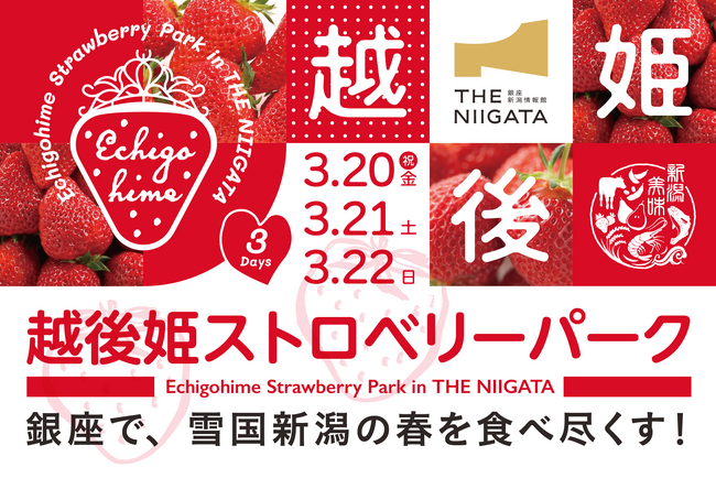 銀座で“幻のいちご”越後姫を食べ尽くす3日間　「2026 越後姫ストロベリーパーク in THE NIIGATA」　3/20（金・祝）～22（日）開催