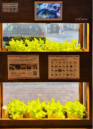 【コンフォートホテル那覇県庁前】「未来に芽を」プロジェクト478Farmに参加