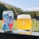 New World Kolsch New World Kolsch