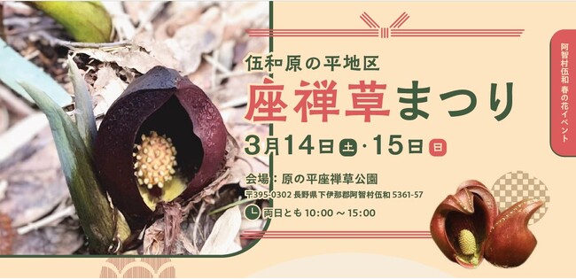 【日本一の星空】長野県阿智村 伍和 原の平座禅草公園にて「原の平地区座禅草まつり」開催