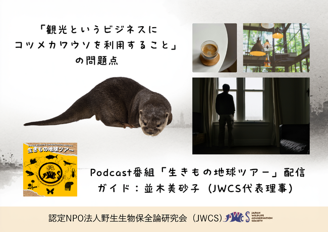 「コツメカワウソを用いた観光促進事業」の問題点を解説