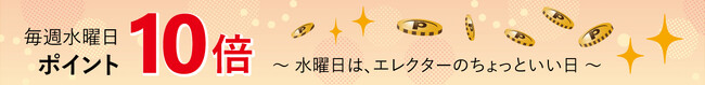 【毎週水曜日はポイント10倍】エレクター公式オンラインショップで「ポイント10倍デー」を実施！