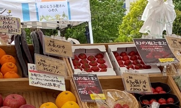 三井不動産レジデンシャル、東京湾岸エリア活性化プロジェクト「WANGAN ACTION」 SDGs をテーマにした「太陽のマルシェ」（第8回）を開催