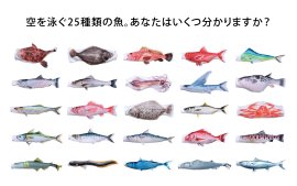 のぼり水族館一覧 のぼり水族館一覧