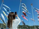 お魚のぼりをおもわず写真撮影 お魚のぼりをおもわず写真撮影