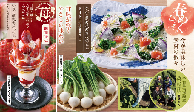 富山県産”ほたるいか”や 千葉県産”菜の花”など 春の味覚が登場【千年の宴・福福屋・月の宴・竹取酒物語】