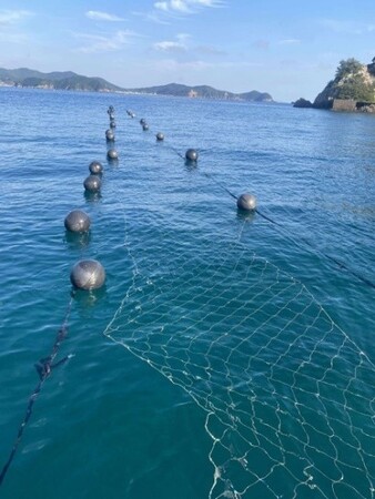 海と共に生きる町、三重県南伊勢町で“養殖藻場”の実証実験を実施中