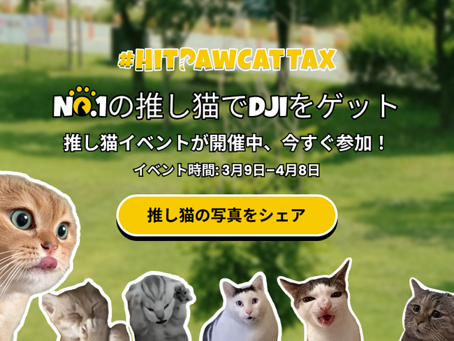 HitPaw自慢の推し猫イベント開催中|自分の猫写真でDJI Pocketをゲット