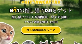 HitPaw自慢の推し猫イベント開催中｜自分の猫写真でDJI Pocketをゲット