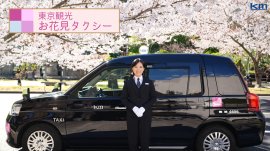 東京観光お花見タクシー 東京観光お花見タクシー