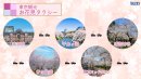 東京観光お花見タクシー モデルコース 東京観光お花見タクシー モデルコース