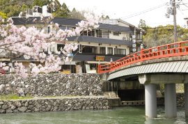 桜満開の喜撰橋 桜満開の喜撰橋