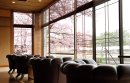 茶莵里のカウンターからの桜 茶莵里のカウンターからの桜