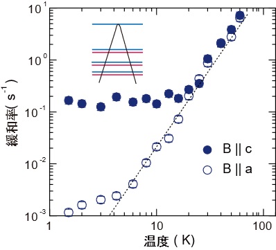 量子化された“相対論的”準粒子を微視的に観測 ― ディラック電子の量子ホール効果の特異性を解明 ―