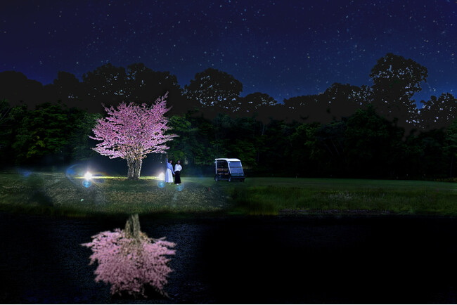 【函館大沼プリンスホテル】夜に見上げる1桜 ゴルフカートで行く夜桜ツアー