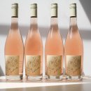 amie original rose amie original rose