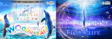 アクアワールド茨城県大洗水族館のイルカ・アシカオーシャンライブとオーシャンナイトライブ
「WOOOOARAI！ーここから始まる、出会いの物語ー」
「FLOW A LIFE―鼓動する命の海―」がスタート