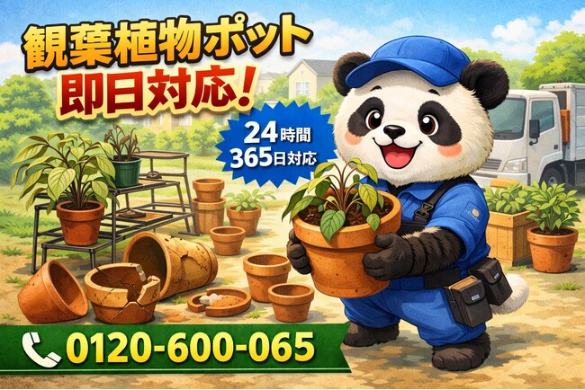 【目黒区】観葉植物ポット迷子 回収キャンペーン（3月は1,000円割引）｜不用品回収のまるっと本舗