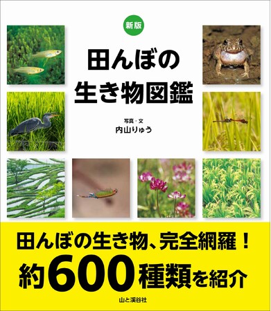 田んぼの生き物を網羅する名著『田んぼの生き物図鑑』を12年ぶりに改訂 『新版　田んぼの生き物図鑑』刊行！