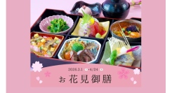 女子会・同窓会・記念日に。春ランチタイム限定「お花見御膳」で特別な時間を
