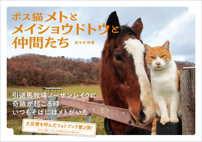 【馬と猫の友情ふたたび】フォトブック『ボス猫メトとメイショウドトウと仲間たち』3月25日に発売決定！