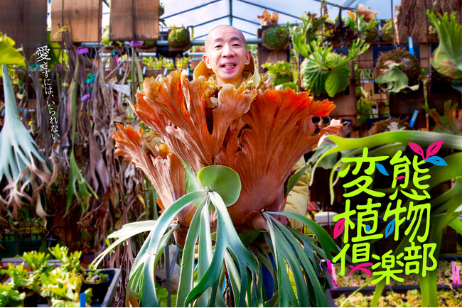 【ひょうろく×珍奇植物】偏愛しすぎて変態？話題沸騰の『変態植物倶楽部』旅バラエティの新企画がスタート！