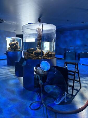 【広島もとまち水族館】大人の社会見学!?~閉館後「のぞき見ツアー」~開催!