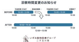 お昼時間も休まず診察中【いずみ動物医療グループ 二子玉川院】
