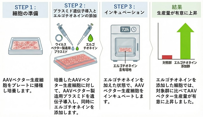 リジェネソーム、Good Hero Therapeutics、ユーグレナの3社で、エルゴチオネインを用いたウイルスベクター生産性増強技術の特許を出願
