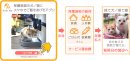 Paw Meの仕組み