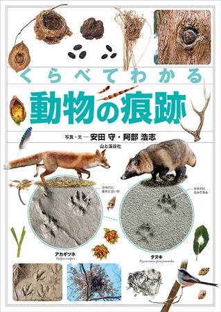 この足跡は誰のもの？--似た動物の痕跡を比較し、ちがいを紹介した図鑑『くらべてわかる動物の痕跡』発刊