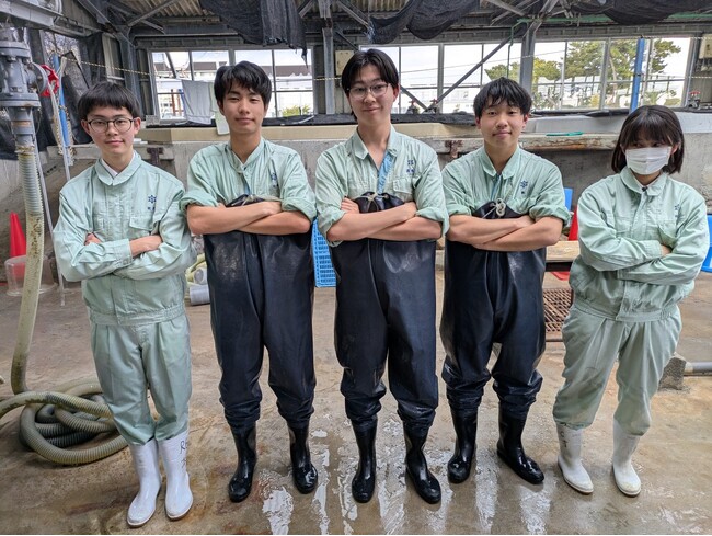 静岡の学生たちが挑む新たな水産プロジェクト。茶鯛の販売を通じてサステナブルな未来を発信！
