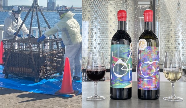 神戸港で海底熟成したワインの引き上げ公開イベントを4月10日13時～フェリシモ「f winery」が開催、海底熟成ワイン引き上げを記念し特別価格で販売