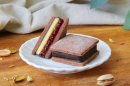 GAKUチョコレートサンド ピスタチオベリー GAKUチョコレートサンド ピスタチオベリー