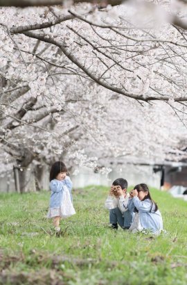 桜フォトコンテスト2024受賞作品 桜フォトコンテスト2024受賞作品