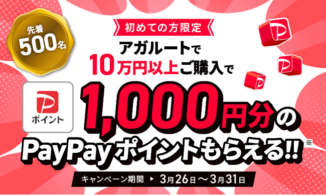 【キャンペーン情報】初回購入限定!1000円分のPayPayポイントプレゼント!