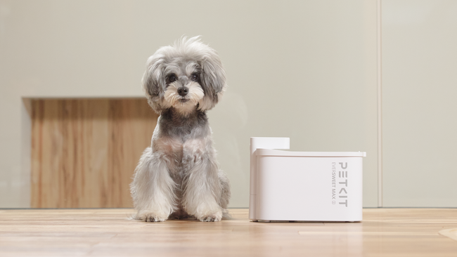 世界で500万人が愛用するペット家電ブランド PETKIT（ペットキット）が、バッテリーで最大83日間稼働するコードレス自動給水機を、日本最大級のペットイベント「インターペット東京」で発売します。