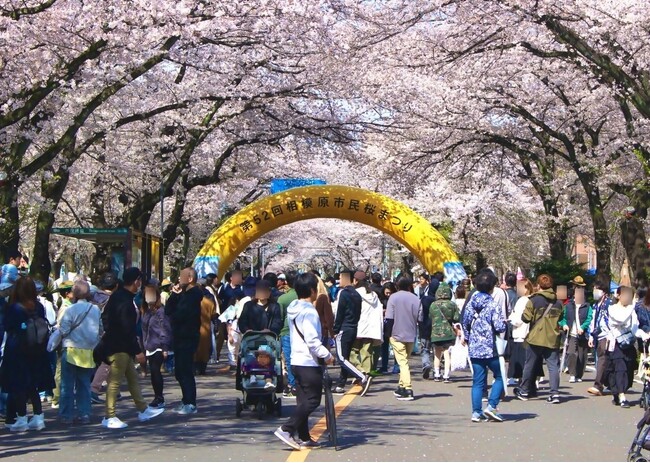 「第53回 相模原市民桜まつり」を 4月4日(土)5日(日)に開催します