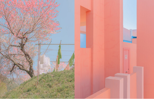 テレサ・フレイタス 写真展「Meeting Point」