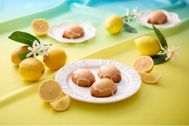 〈エーデルワイス沖縄〉【新商品】『きゅんとさわやか生レモンケーキ』