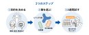 ヨーグルト選び3つのステップ