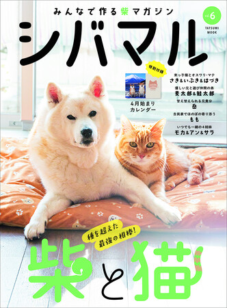 SNSで話題の柴犬と猫との暮らしを大特集！ 人気投稿のウラ側などファン必見の柴犬専門マガジン『シバマル』Vol.6が3月31日（火）発売