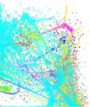 水あそび 水あそび