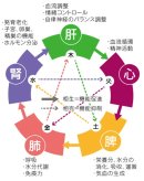 五臓の図