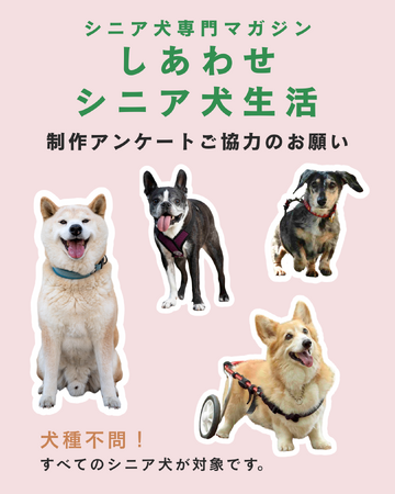 シニア犬とその飼い主のためのシニア犬専門誌が2026年7月発売決定！ 制作に向けたアンケート募集開始