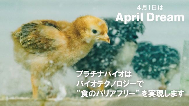 バイオテクノロジーで“食のバリアフリー”を実現します