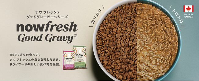 【NOW FRESH(TM)新シリーズ】「NOW FRESHグッドグレービー キャット」新発売
