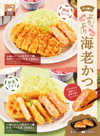 【かつ庵】かつ庵「海老かつフェア」開催！ぷりっぷり食感の海老かつを味わえる定食3品が登場